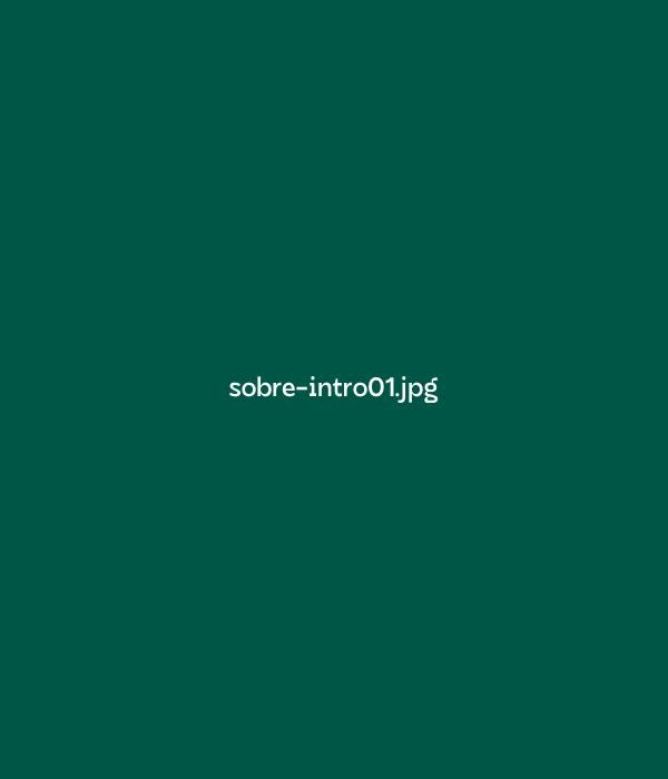 Olá! :)
