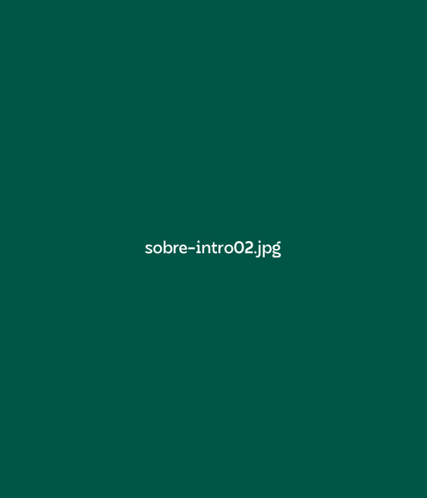 Olá! :)